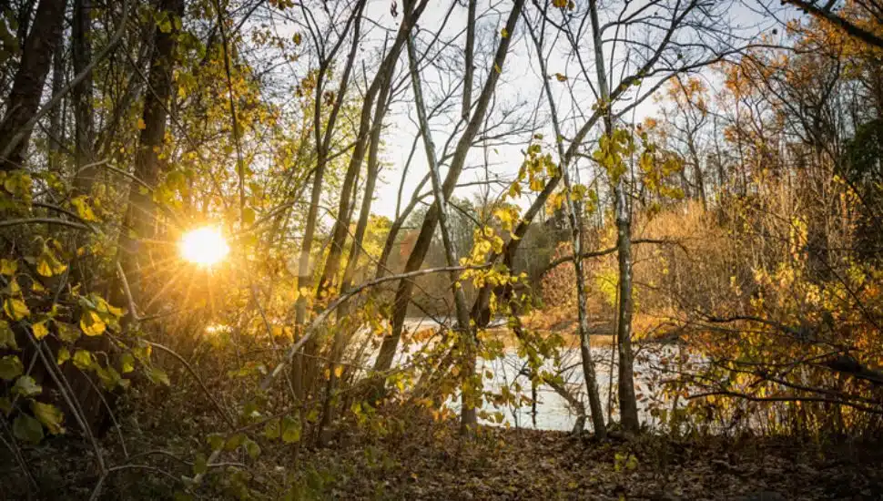 part of the Schuylkill River Greenways