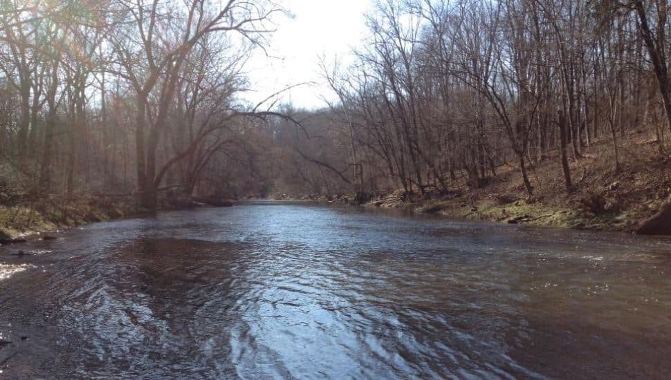 stream and trees among Montgomery County parks