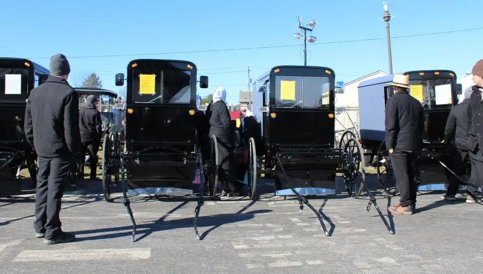 Amish mud sale