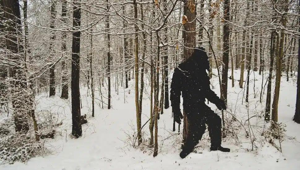 Big Feats for Bigfoot, Latest Sighting Reported in Pennsylvania Woods