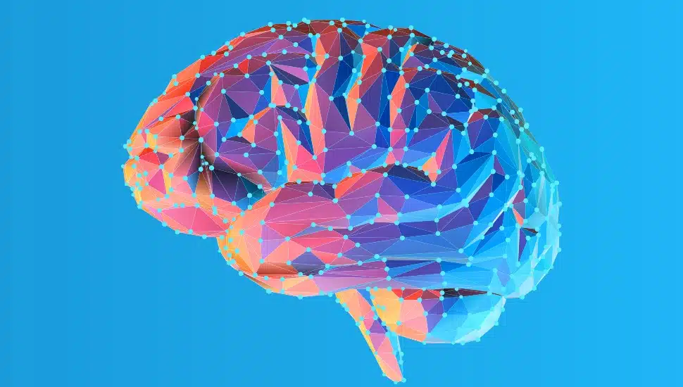 Get Psyched at Gwynedd Mercy’s Mental Health, Human Development, and Personality Summer Program
