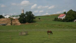 Chester County farm