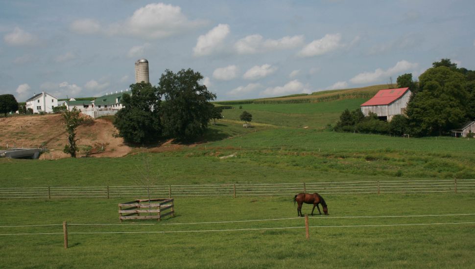 Chester County farm