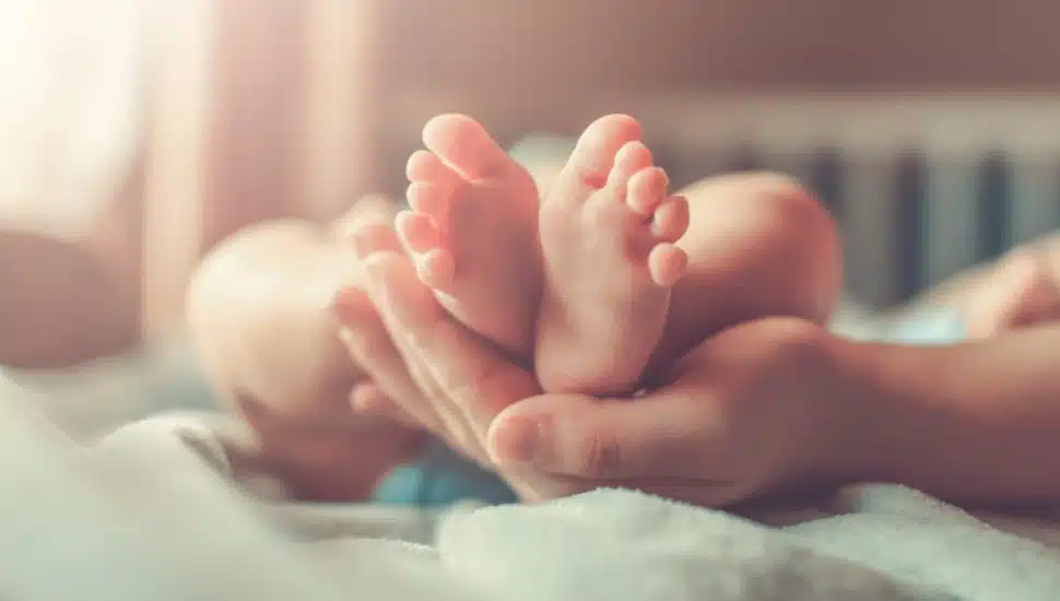 feet like those of Taglia Cappelletti