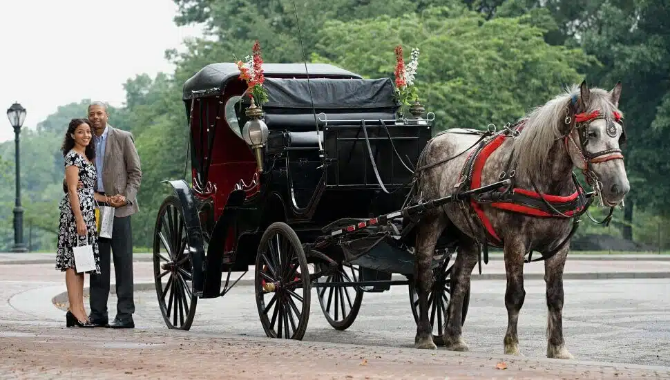 Couple with Horse & Carriage