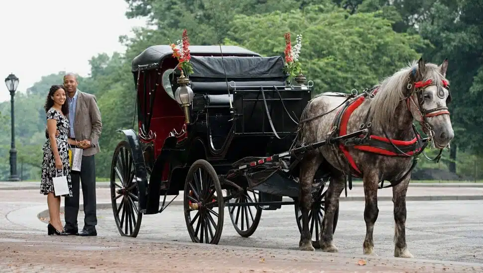 Couple with Horse & Carriage