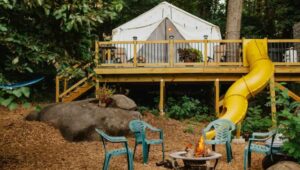 Philly Glamping Tree House