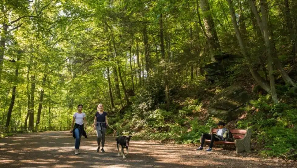 Wissahickon Creek Clean Up Mobilizes Community for Earth Day