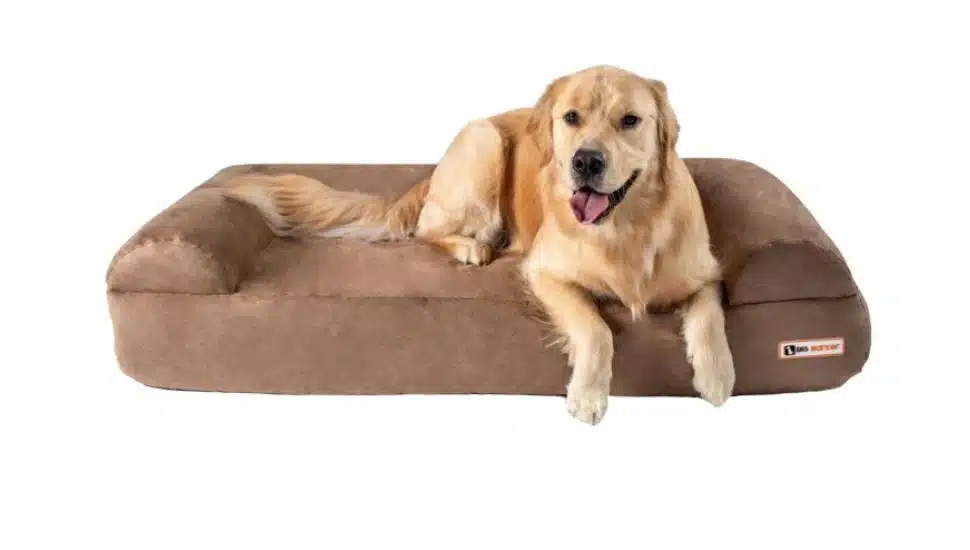 big barker bed