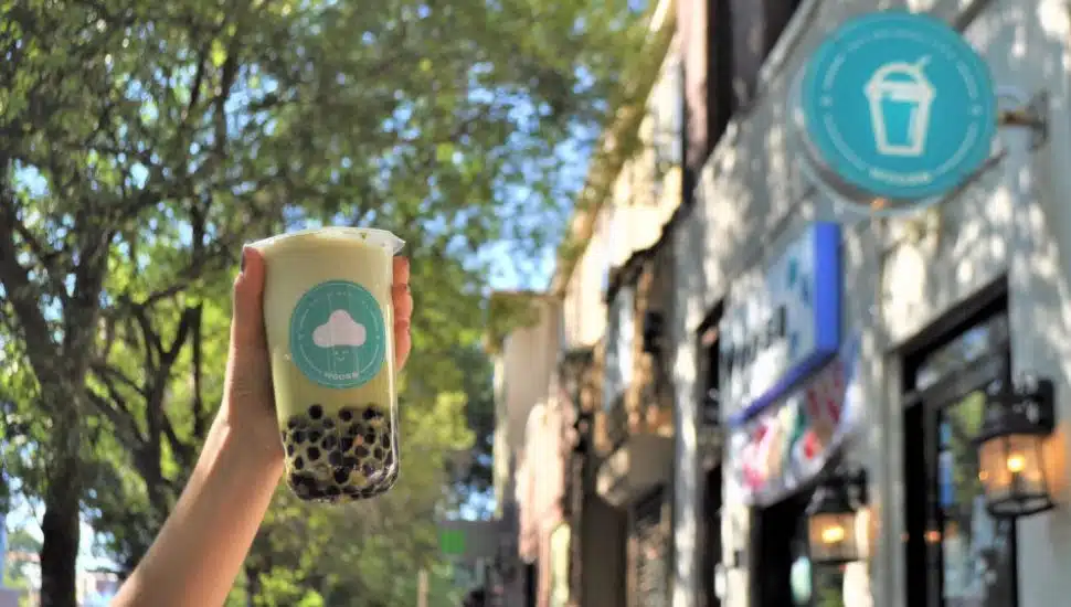 bubble tea shops