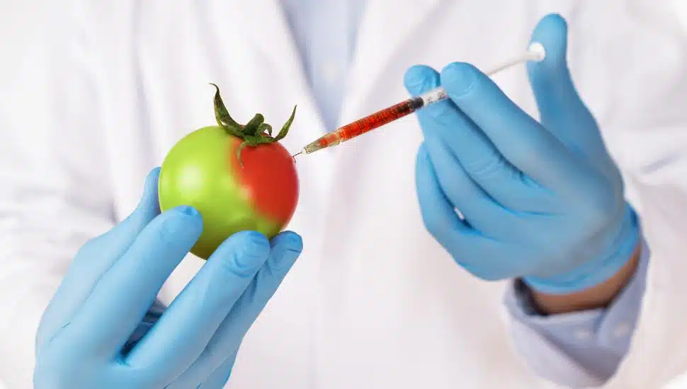 diane ray comments food chemicals