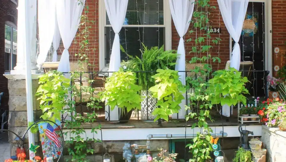grow for it entry