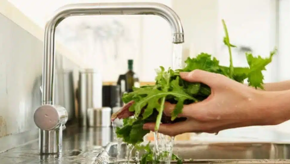person washing food under sink water