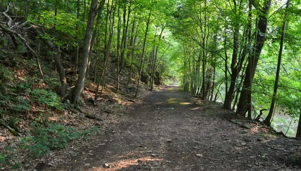 Closed Fern Avenue in Evansburg State Park