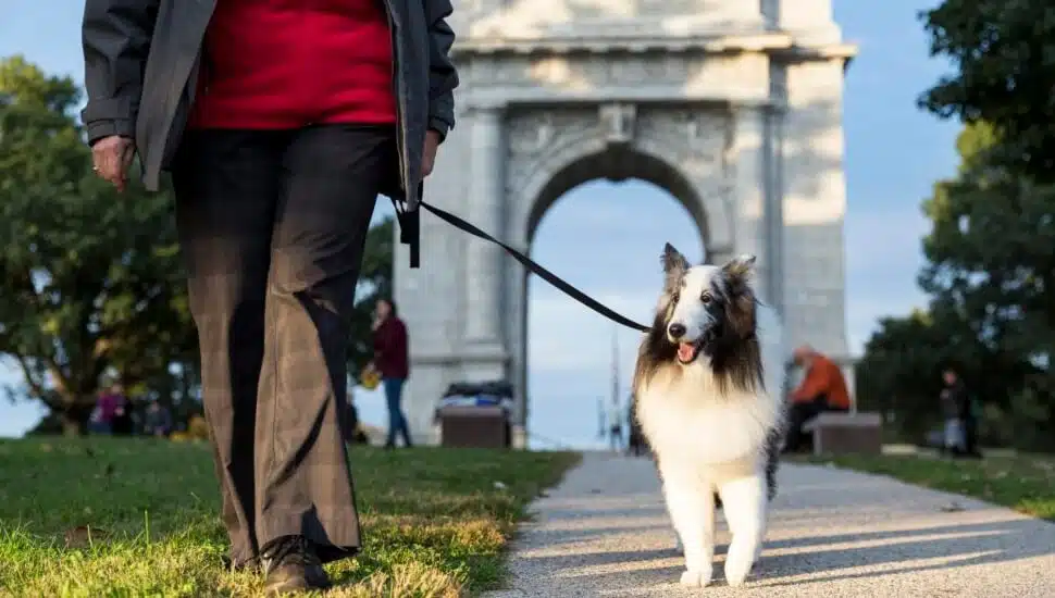 Dog and master at Valley Forge