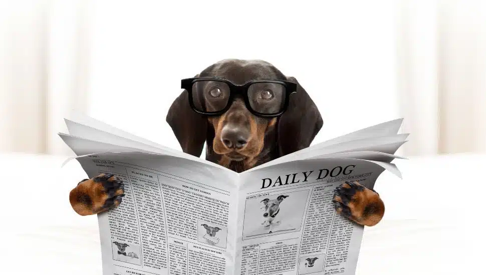 Unlock Your LinkedIn Potential: Say Goodbye to Paragraphy and Embrace Skim & Scan