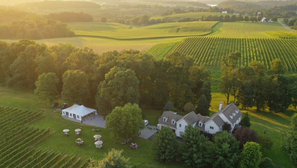 Wayvine Winery.