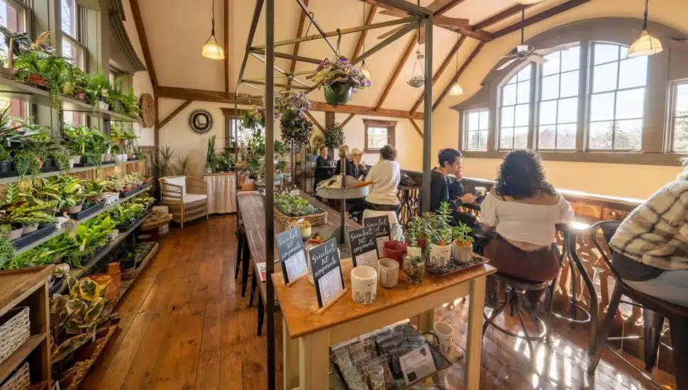garden flower shops