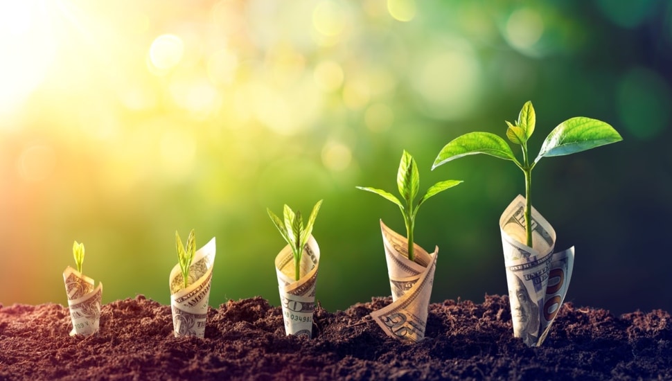 Grow a Garden of Success