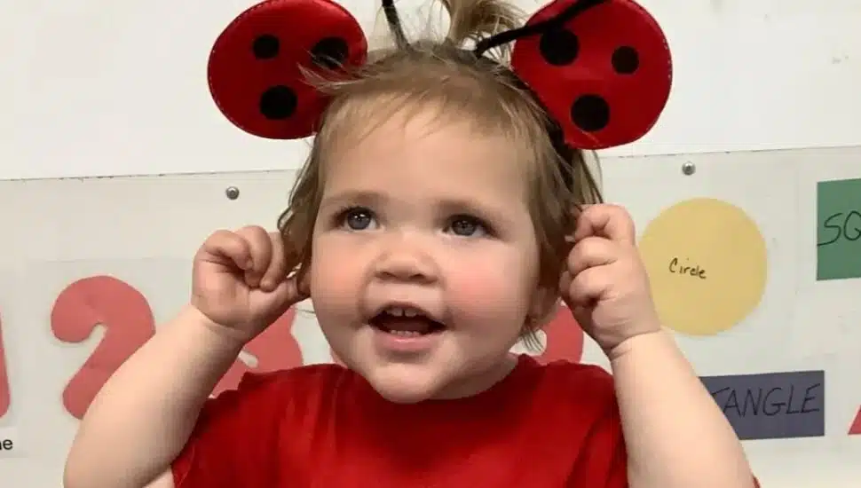 ladybugs release