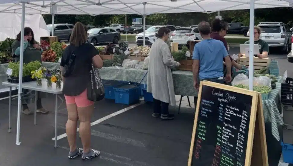 Bala Cynwyd Farmers Market.