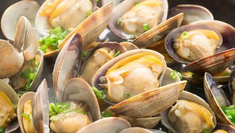 Normandy Farm Hosts Clam Bake This July