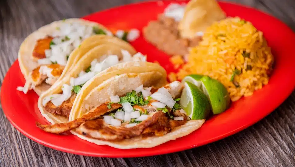 El Limon Taqueria Conshohocken.