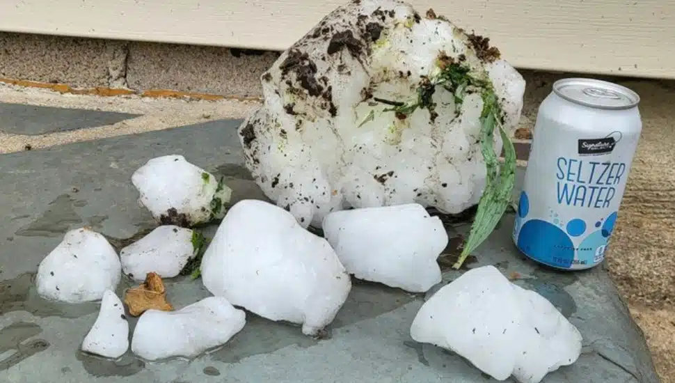 Chunks of Ice Falling from the Sky on a Sunny Day Baffles Elkins Park Family