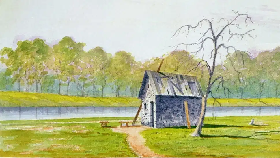 New Book Recalls ‘America’s First Plague,’ Mosquito-borne Epidemic That Struck Philadelphia in 1790s
