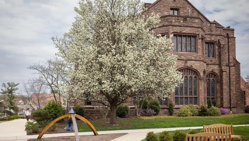 The Hill School Pottstown.