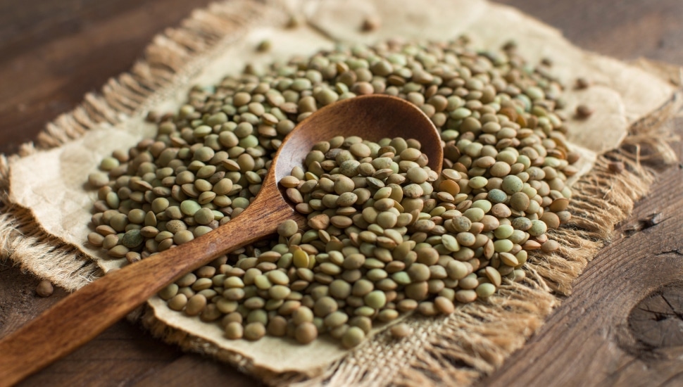 Lentil & Company Ardmore.