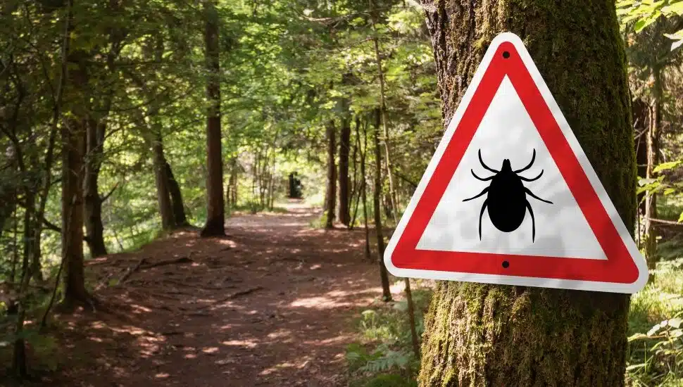 Ticks Montgomery County.