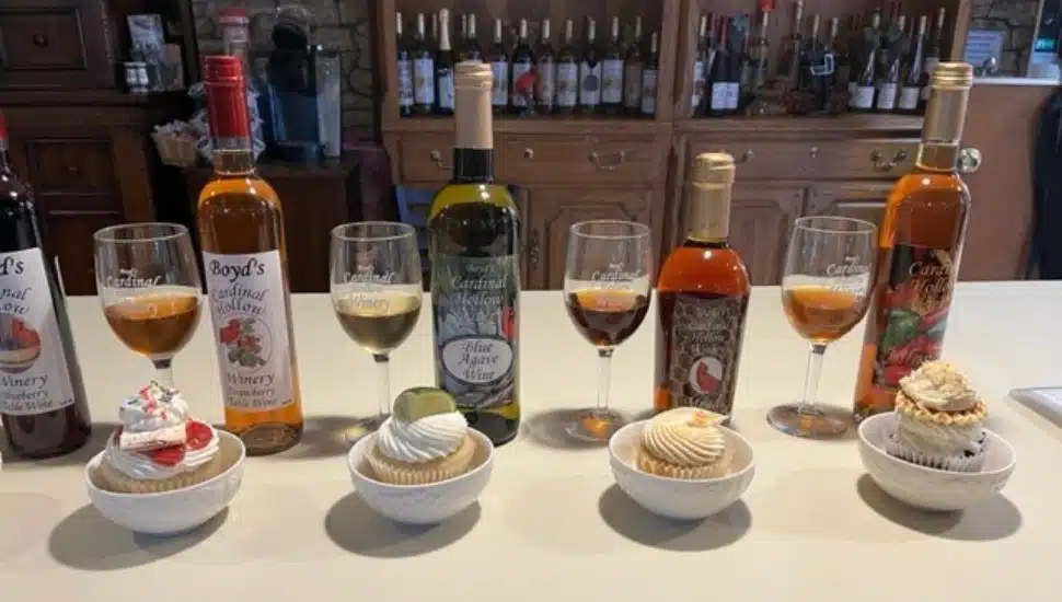 bottles of Cardinal Hollow wine