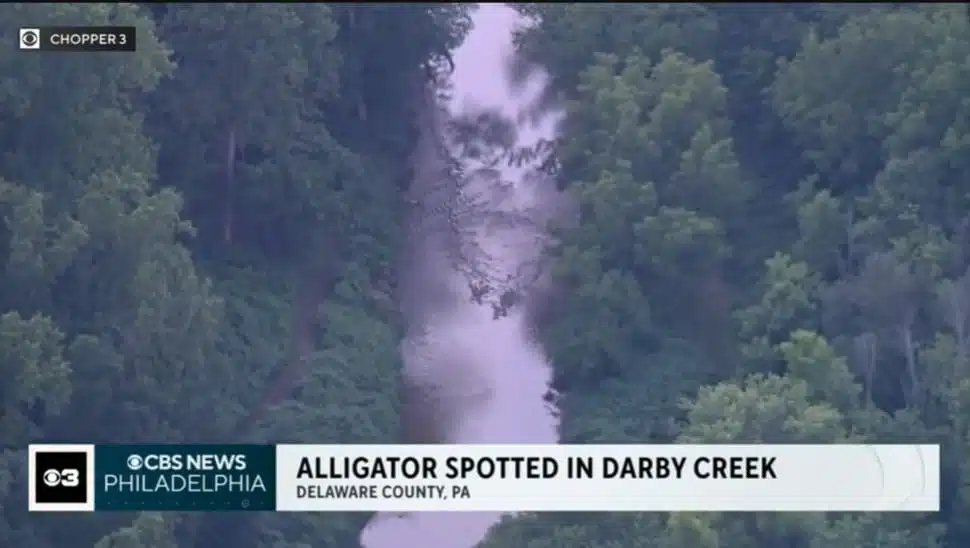 Darby Creek