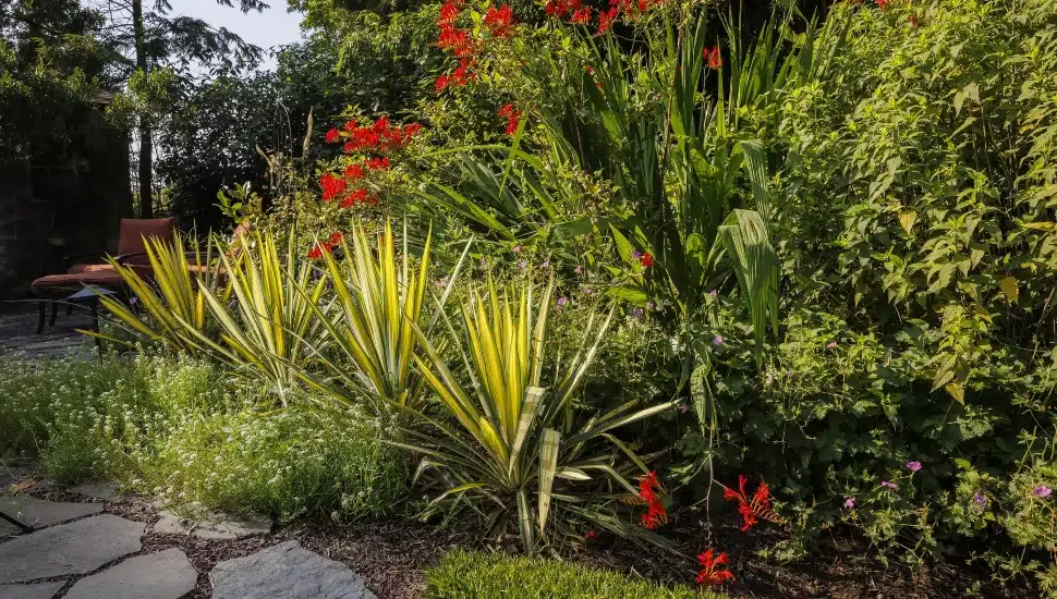 Lower Gwynedd Woman Creates Lush Ecosystem in Her Backyard