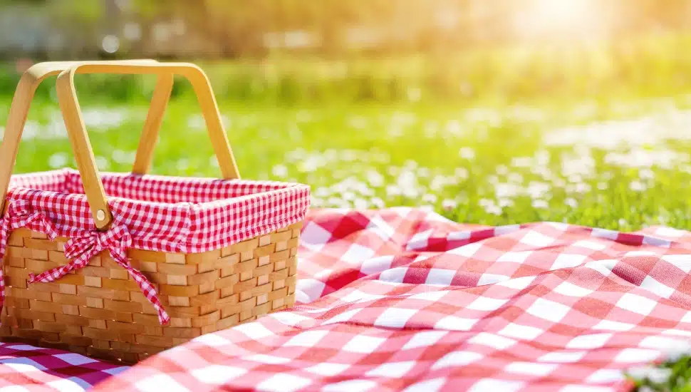 Picnic spots in Montgomery County.