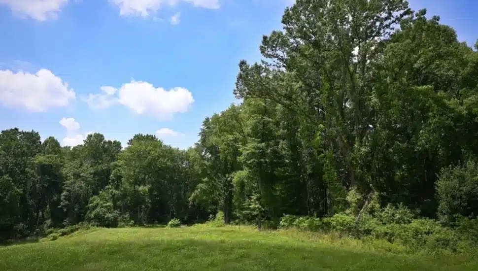 Schuylkill Center for Environmental Education in Roxborough.