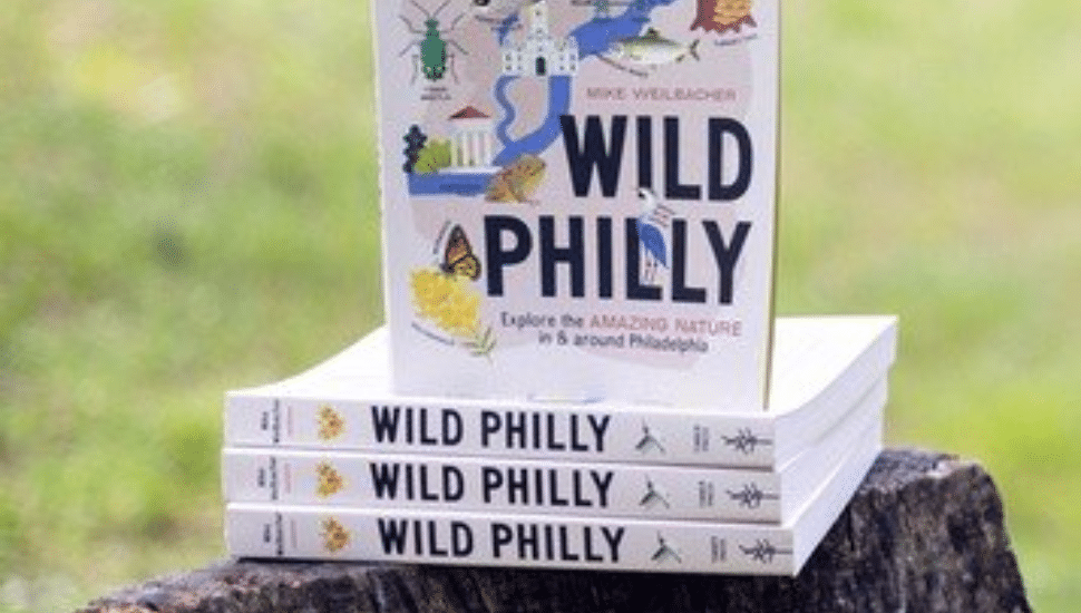 Copies of Mike Weilbacher's new book.