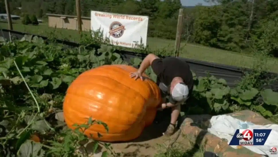 Former Philadelphia Eagles defensive end Chris Long recruited Ryan Cook, a West Virginia farmer, to help him break a giant pumpkin world record.