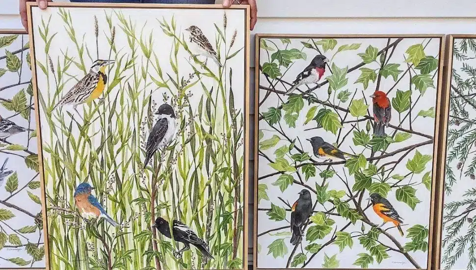 Paintings sold by Buttercup Studio in Eagleville.