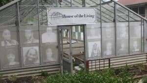 “The House of the Living” greenhouse project