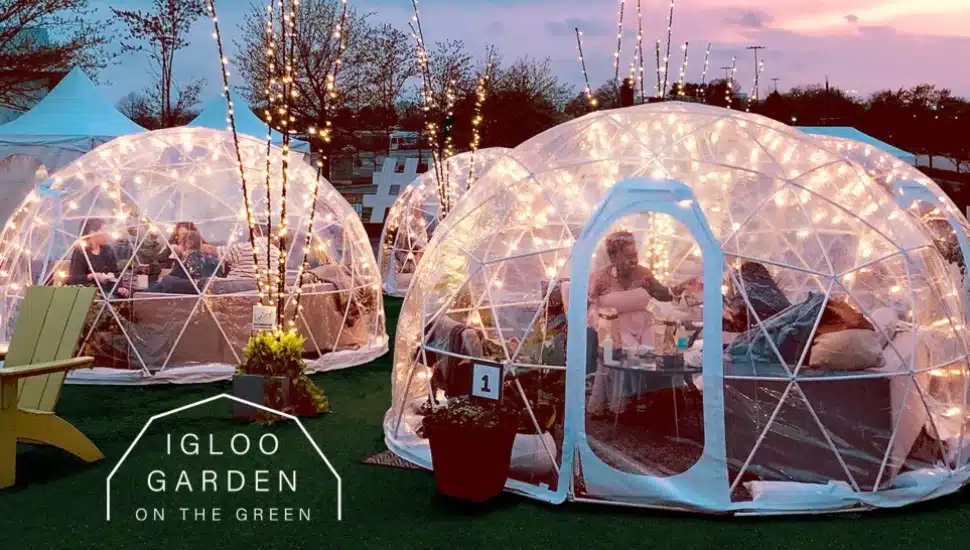 King of Prussia District Igloo Garden on the Green and Food Drive.