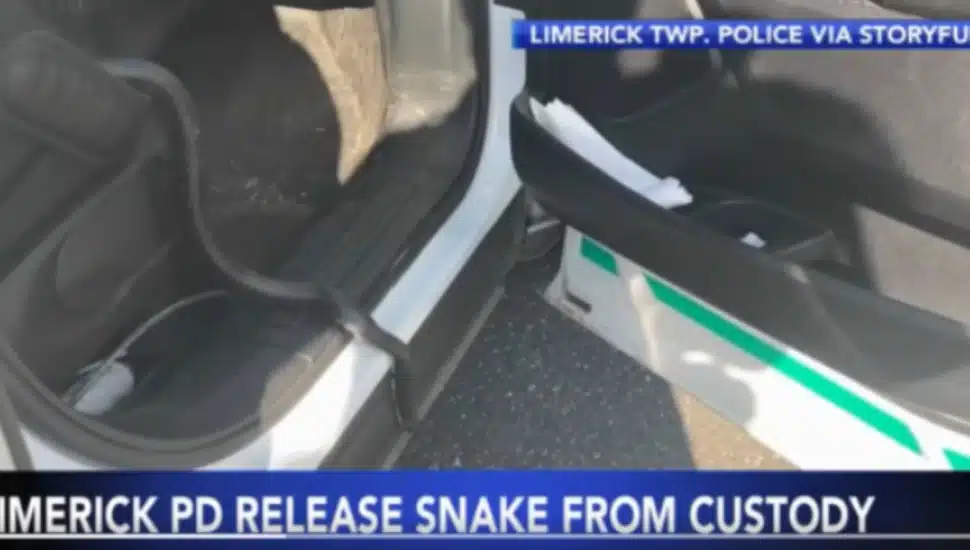 ‘Please Don’t Expect This from All Officers’: Montco Officer Makes Special Delivery