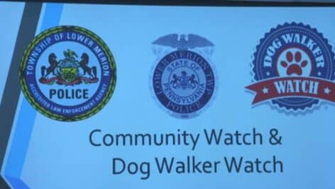 Lower Merion Dog Walker Watch training session.