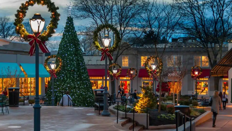 Holiday lights in Montgomery County.