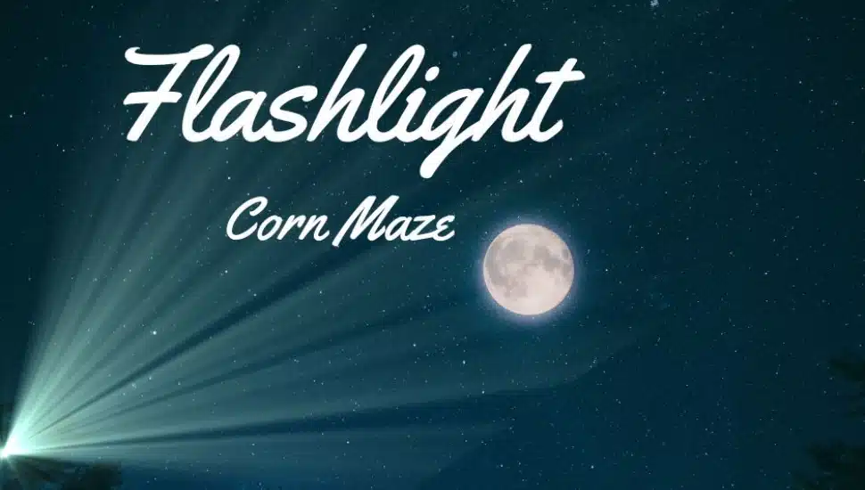 At The Gilbertsville Farm, you can enjoy a Flashlight Corn Maze.