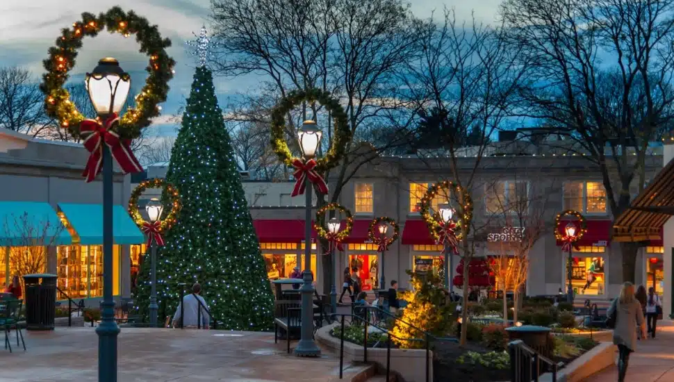 A holiday tree lighting.
