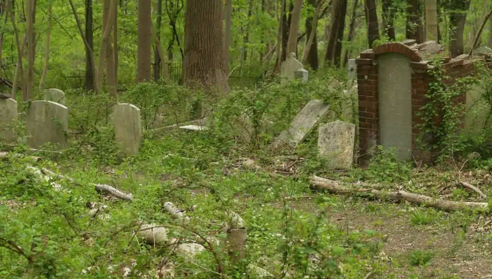 The Gladwyne Jewish Memorial Cemetery.