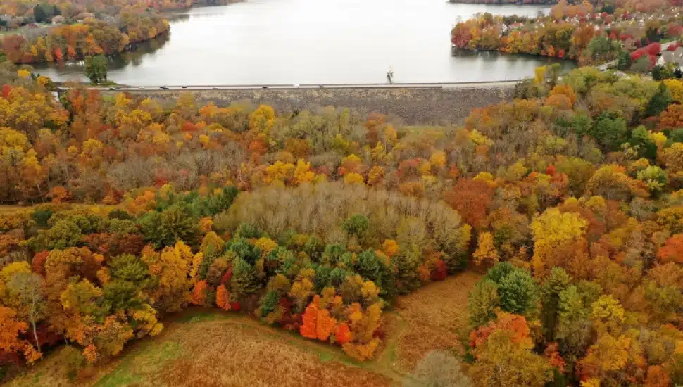 Hildacy Preserve.