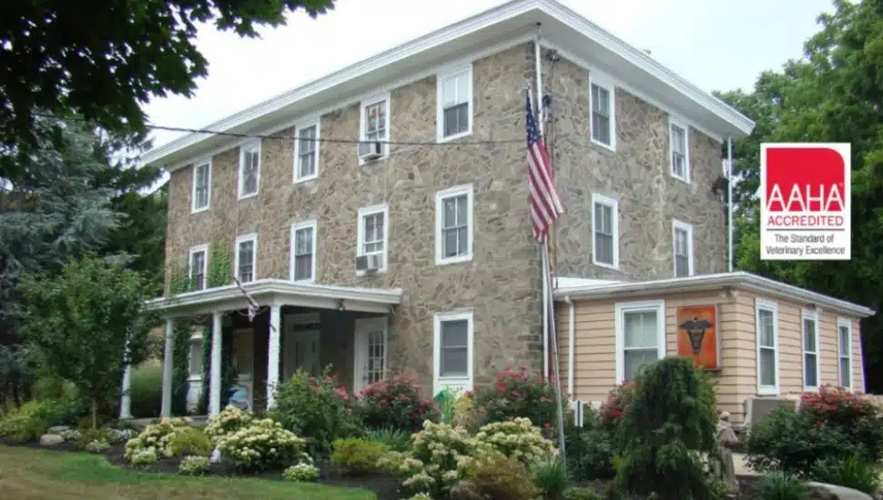 Hopewell Veterinary Hospital in Jenkintown.